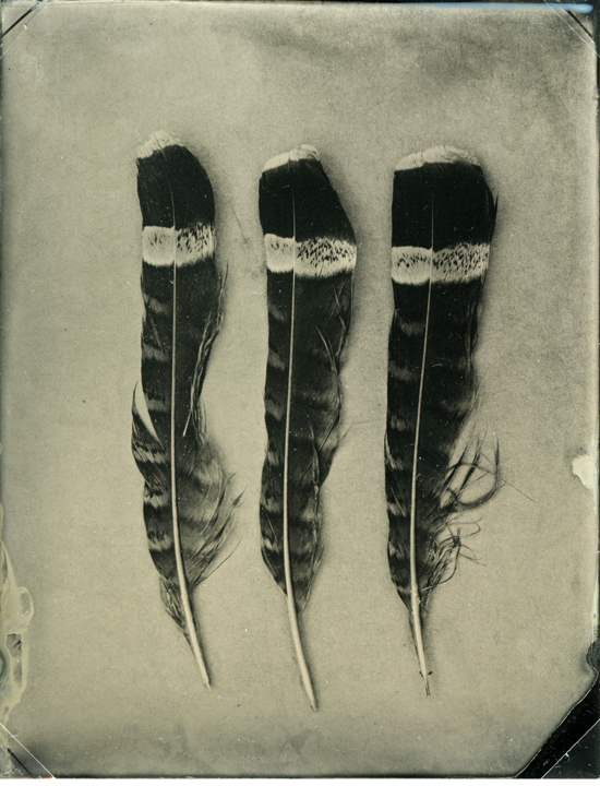 Red Feathers and Blown Away, Dyptic