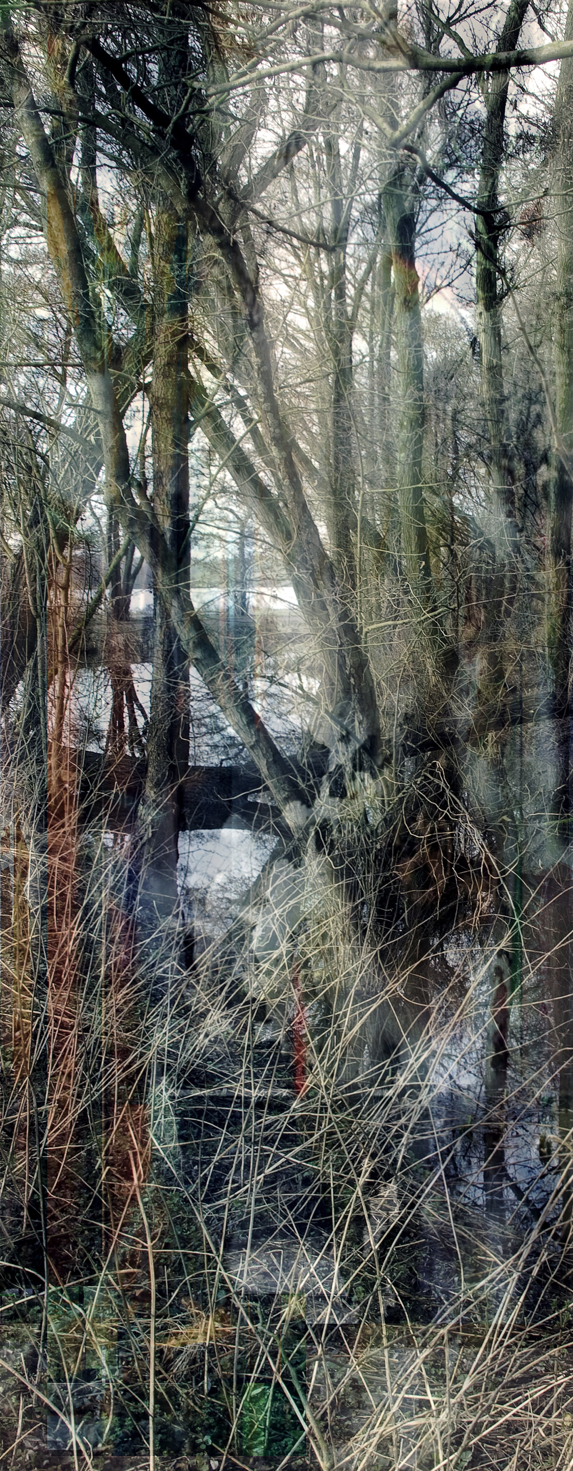 Tree III (from Series "Constructed Landscapes") Tree III (from Series "Constructed Landscapes")