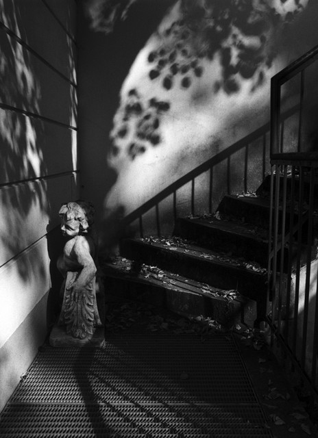 Cherub in Shadows