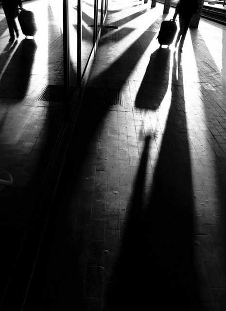 Luggage Reflection and Shadows