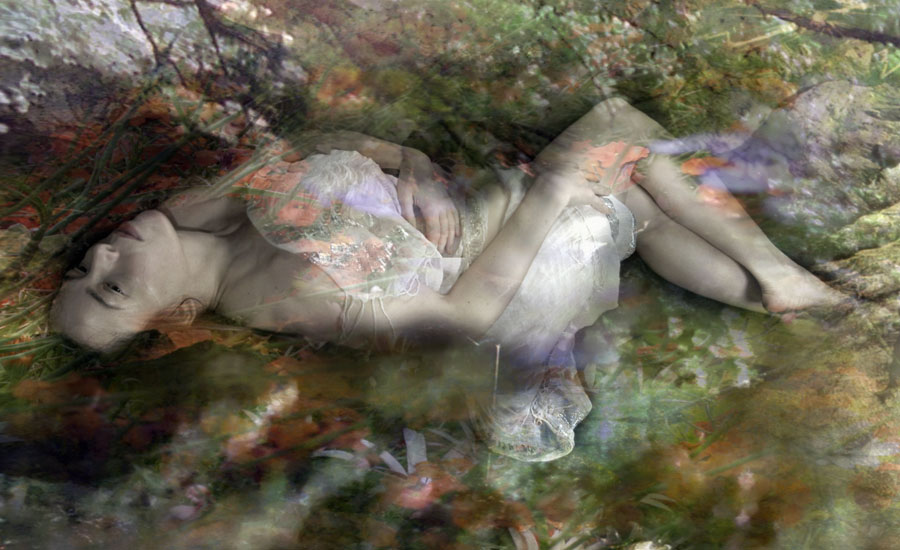 Wild Flower