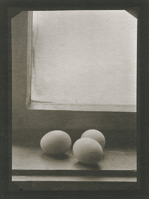 Still Life (Eggs on Shelf next to Window) Still Life (Eggs on Shelf next to Window)