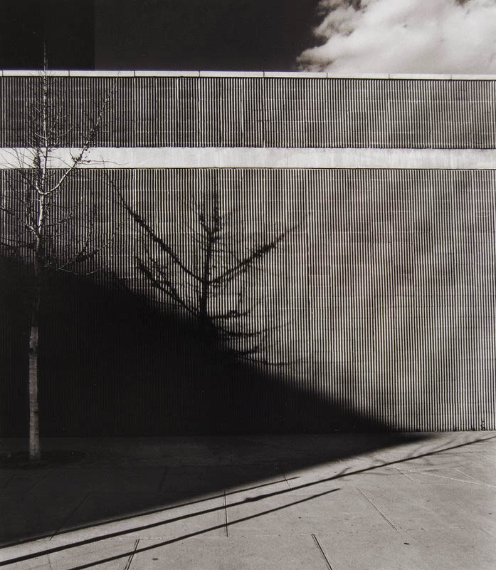 Ribbed Wall (shadows), NYC Ribbed Wall (shadows), NYC