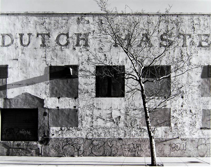 Dutch Masters, NY