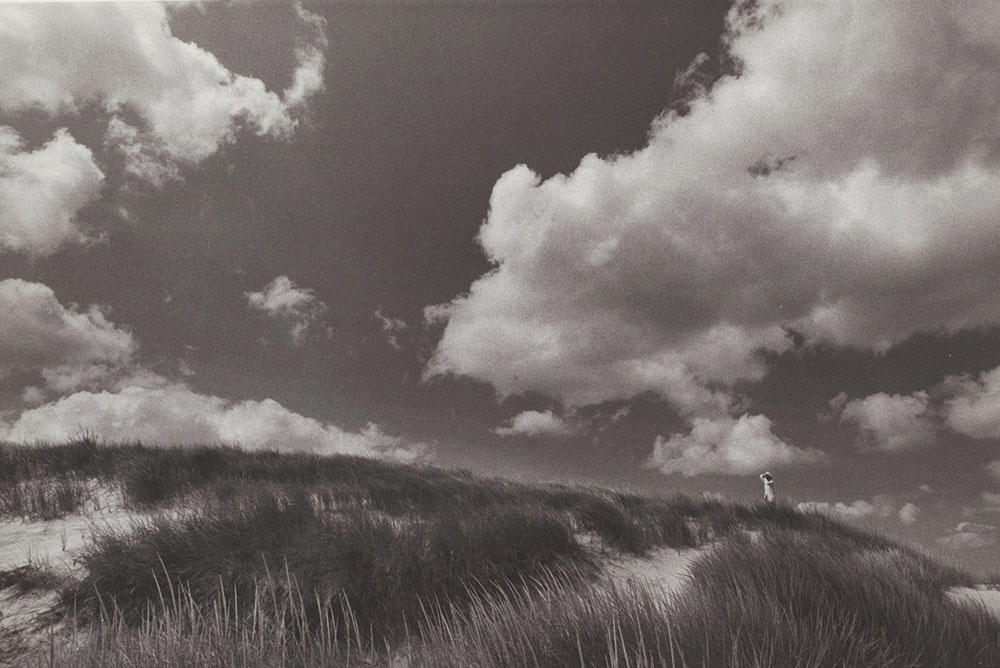 Dunes of Squibnocket Beach, Martha's Vineyard