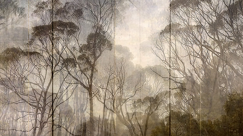 Angelica (from Series "Constructed Landscapes") Angelica (from Series "Constructed Landscapes")