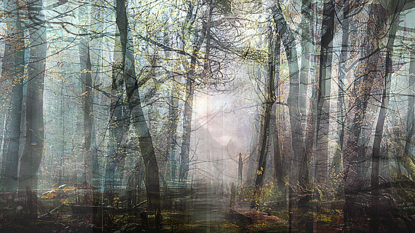 Night Forest (from Series "Constructed Landscapes") Night Forest (from Series "Constructed Landscapes")