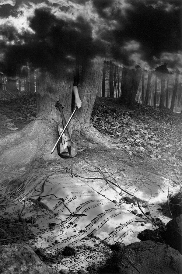 The Fiddler