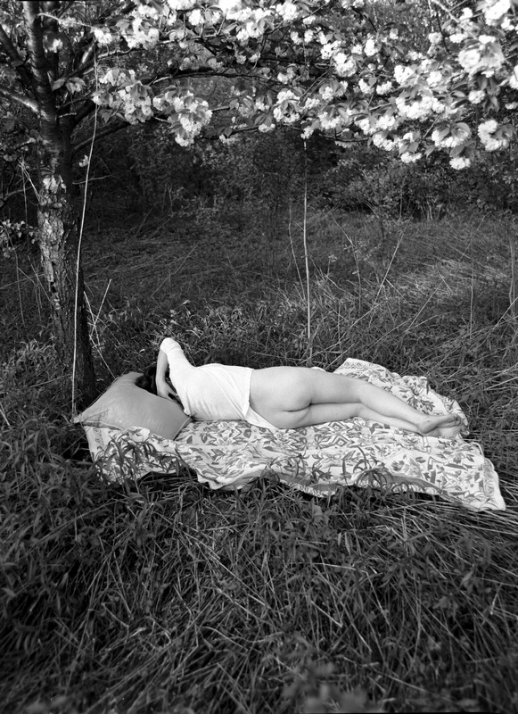 Female Nude in the Woods Female Nude in the Woods