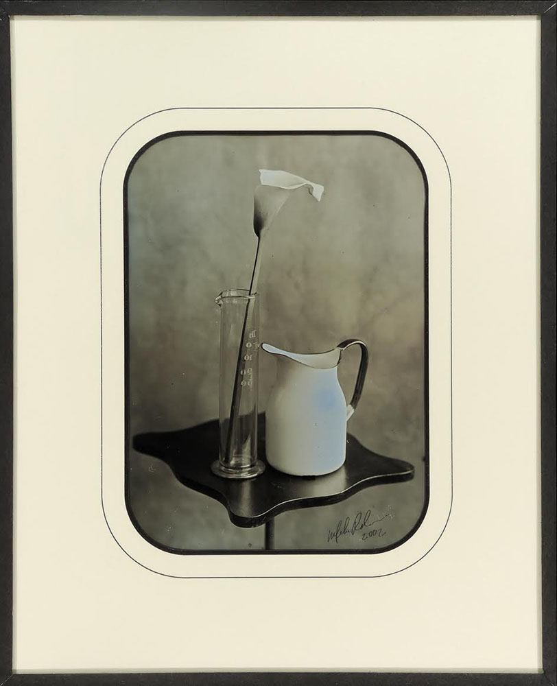 Lily & Pitcher 1 Lily & Pitcher 1