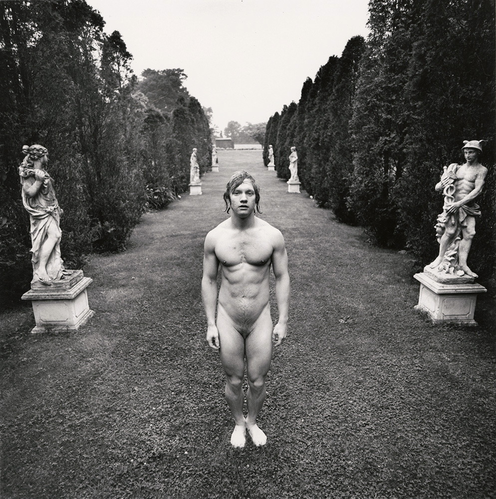 Hermaphrodite behind Venus and Mercury, East Hampton, NY