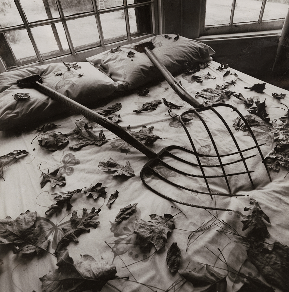 Making Leaves, Cold Spring, NY
