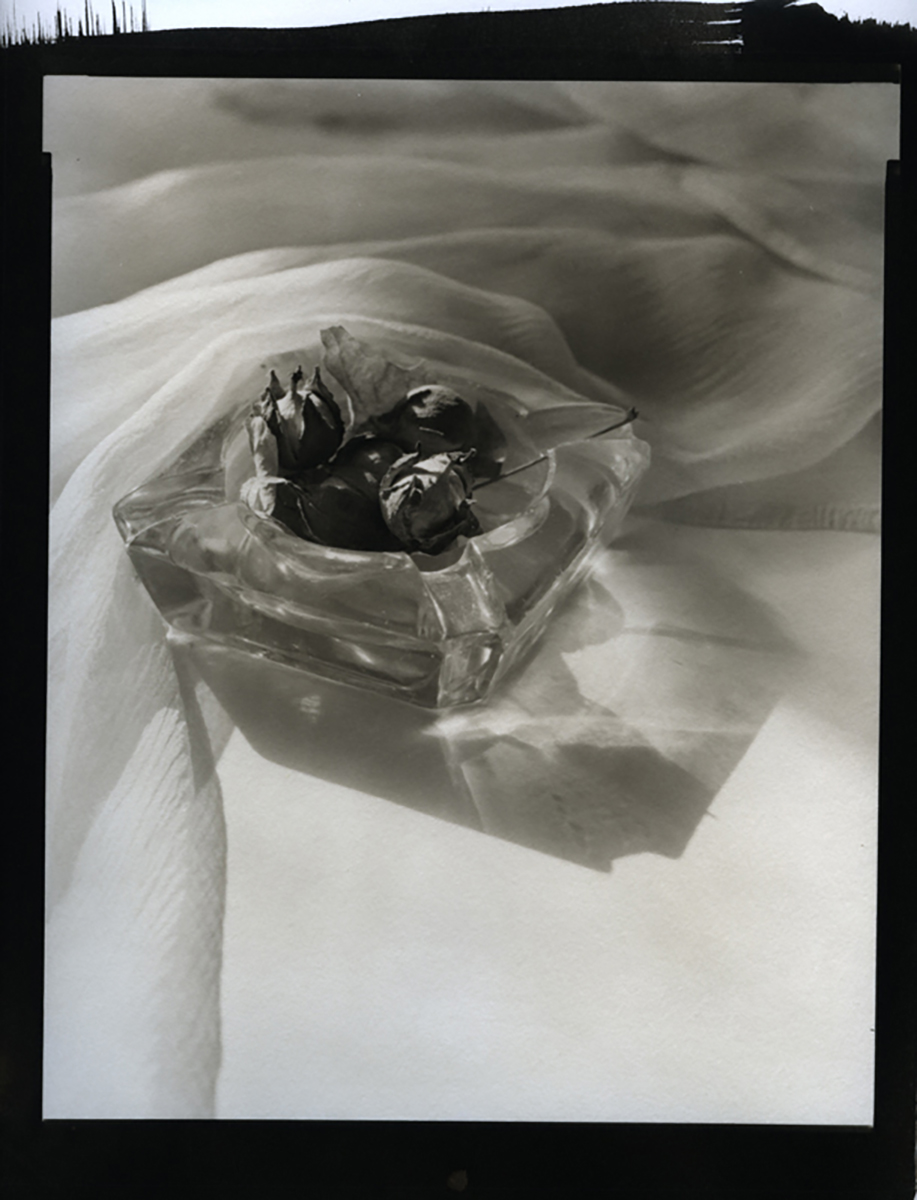 Ash Tray and Hazel Nuts Ash Tray and Hazel Nuts