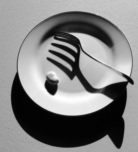 Fork and Plate (Still Life) Fork and Plate (Still Life)