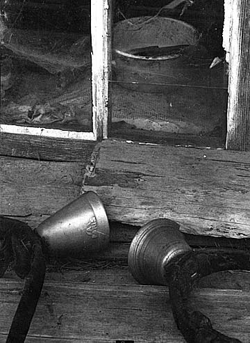 Still Life