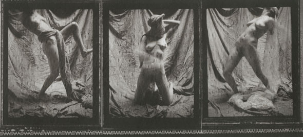 Untitled Triptych (Nude Self Portrait) Untitled Triptych (Nude Self Portrait)
