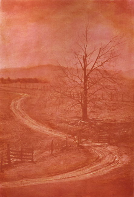 Virginia Landscape #19