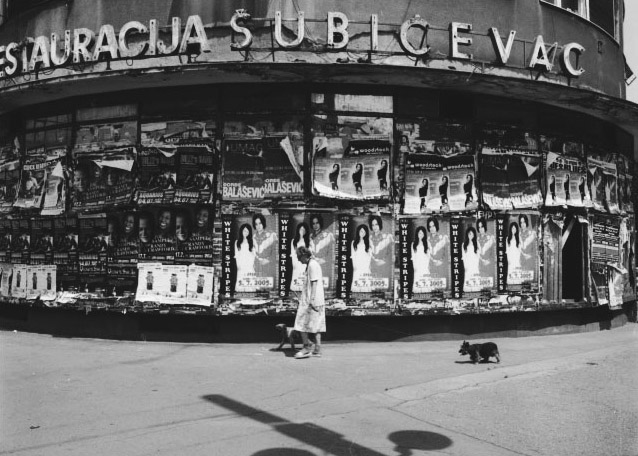 Old Woman and Dogs in Front of Posters Old Woman and Dogs in Front of Posters