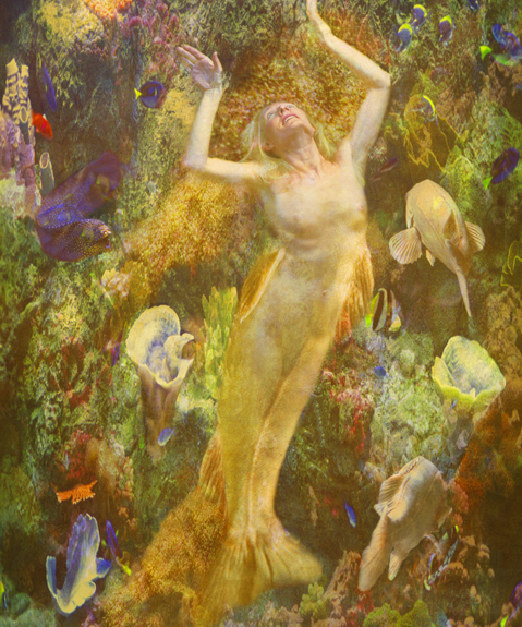 The Mermaid