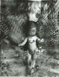 Timothy Rice - Screw Baby
Click for more Images