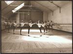 Kim Camba - Young Dancers in Arabesque Position
Click for more Images