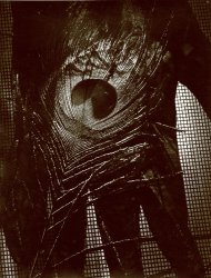 Vilem Kriz - Peacock Feathers and Figure
Click for more Images