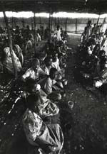 Barry Thumma - Refuges from Famine in Ethiopia
Click for Details Barry Thumma - Refuges from Famine in Ethiopia
Click for more Images