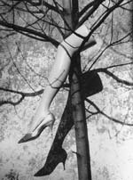 Marcel Marien - Le Fruit Defendu (The Forbidden Fruit)
Click for Details Marcel Marien - Le Fruit Defendu (The Forbidden Fruit)
Click for more Images