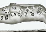 Marcel Marien - The Dream Bench, Female Nude Back with Cards
Click for more Images