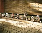 Emily Shur - Dog Statue, Takao, Japan
Click for more Images