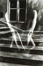 Vladimir Landa - Echoes
Click for more Images