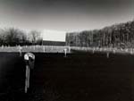 Tom Baril - Drive-In, MA
Click for more Images