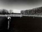 Tom Baril - Drive-In, MA
Click for more Images