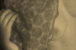 Stanko Abad�ic - Female Nude #11 (The Veil)
Click for more Images