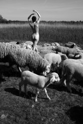 Stanko Abad�ic - Unexpected Meeting (Female Nude among the Sheep in Serbia)
Click for more Images