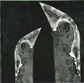 Ladislav Postupa - Ptaci (Birds)
Click for more Images