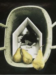 Diane Farris - Pear Table (Still Life)
Click for more Images