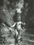 Timothy Rice - Screw Baby
Click for more Images