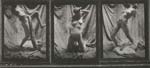 Margaret Cressman - Untitled Triptych (Nude Self Portrait)
Click for more Images