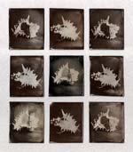 Kevin Klein - Seashells
Click for more Images