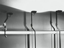 Marcus Leatherdale - Lights and Hands
Click for more Images