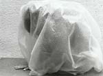 Marcel Marien - L'absence de sens
Click for more Images