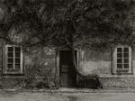 Stanko Abad�ic - Forgotten Bicycle
Click for more Images